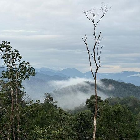 Misty At Fraser'S Hill Fraser Hill Bagian luar foto