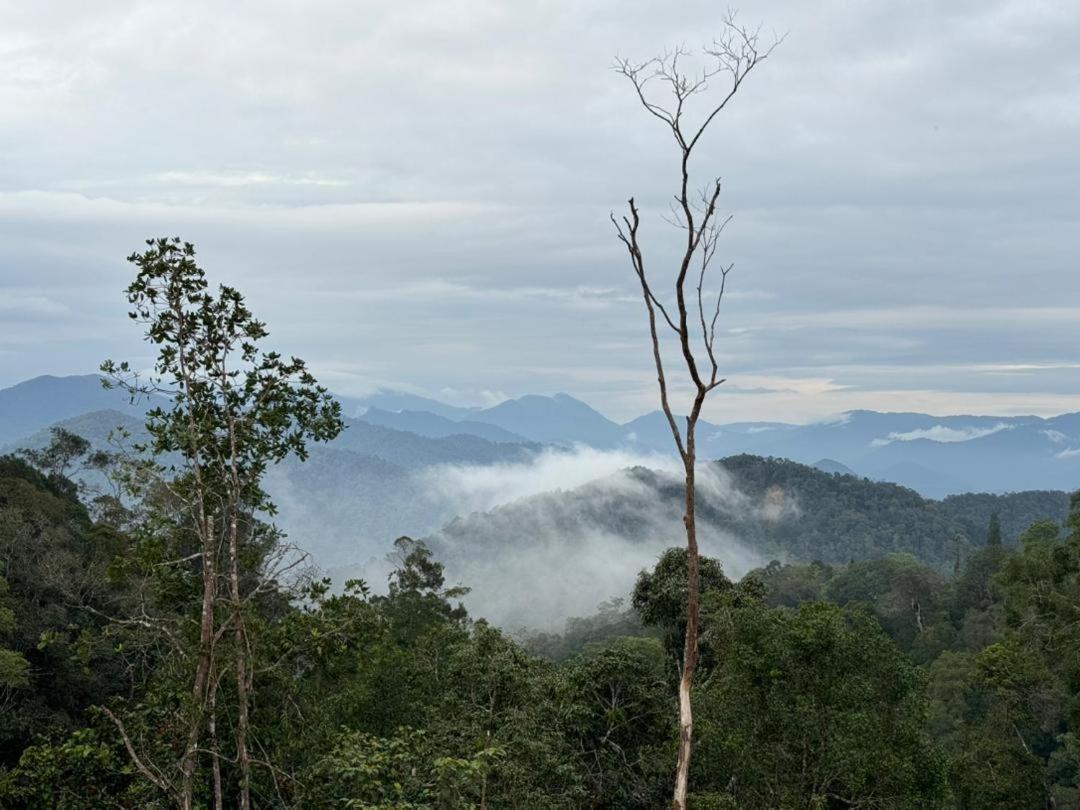 Misty At Fraser'S Hill Fraser Hill Bagian luar foto